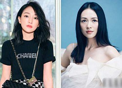 Zhang Ziyi, Zhou Xun and the most temperamental goddesses in Cbiz, step on public opinion to live