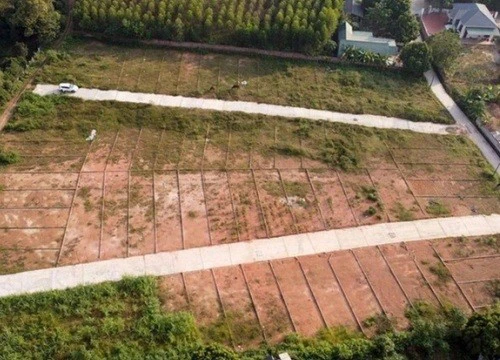 Ngừng xem xét phân lô bán nền, giao công an điều tra đối tượng thổi giá đất