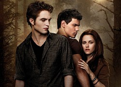 Kristen and the &quot;Twilight&quot; stars have changed dramatically after more than 10 years: Everyone has their own direction