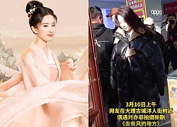 Liu Yifei revealed her stunning beauty when she was secretly taken through the lens of a passerby