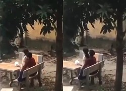 HOT: The clip of the couple &quot;jumping&quot; on the stone bench made Netizen&#39;s eyes explode: &quot;Can be fined from 100-300k&quot;