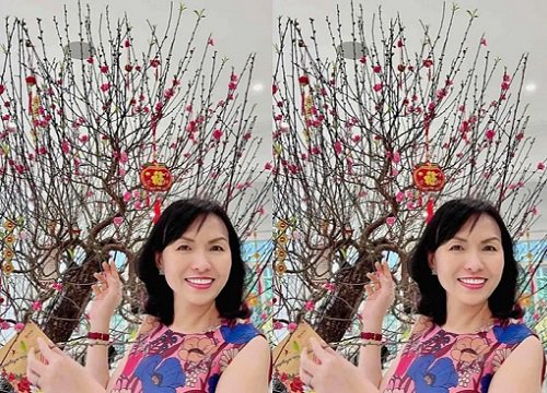 Cách đây hơn 1 tháng, "lão Phật gia Sơn Kim" nhắc đến con rể công khai trên MXH, nói con gái "cũng vất vả giống mẹ"