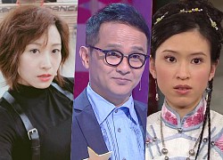 TVB casts have to struggle to make a living because of their meager salaries and estranged broadcasters