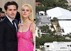 Brooklyn Beckham gets married: 2293 billion wedding venue revealed, maximum security