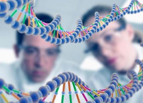 Xét nghiệm gene đo trí thông minh của trẻ, nên hay không?