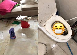 The hot girl is accused of being terribly dirty: The room is flooded with garbage, the toilet does not flush, the rent is stolen