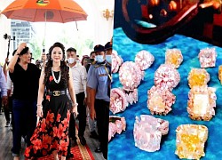 Phuong Hang once reported the loss of billions of dong of jewelry, but when she caught the culprit, the police said it only cost 35 million dong?