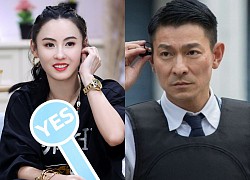 Luu Duc Hoa is seriously ill, admits that he is the biological father of the youngest child Truong Ba Chi, has written a will to divide the property?