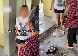 Daughter-in-law &quot;dropped&quot; the tray of rice because of arguing with her mother-in-law about washing dishes, how did netizens react?