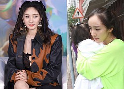 Yang Mi is really a good mother: There&#39;s a reason why she doesn&#39;t let her biological children live next to her