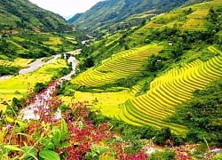 Điểm danh ruộng bậc thang ở châu Á 'hút hồn' khách du lịch