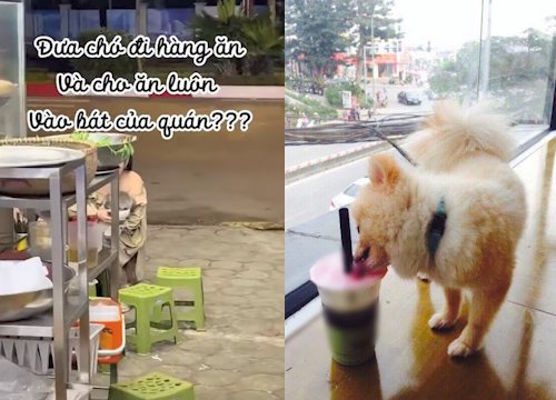 Cho chó cưng ăn uống trong bát của quán, cô gái trẻ khiến dân mạng tranh cãi dữ dội