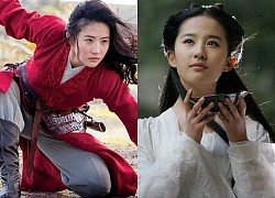 Liu Yifei leads the small flower group because of possessing these 3 things, Trieu Le Dinh can&#39;t even dream of it.