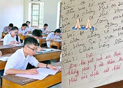 The male student received 0.5 points in the Literature test, read the criticism but the fans were powerless to replace the teacher