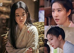 Liu Yifei was criticized for his beauty