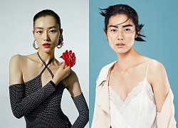 Liu Wen - From an unknown girl to Asia&#39;s No. 1 supermodel and dating rumors Tran Vy Dinh, Bach Nhien Province!