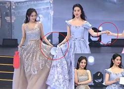 Liu Yifei ignores Yang Mi: What&#39;s going on between the two famous beauties?