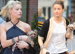 Amber Heard is said to be a bad example for women