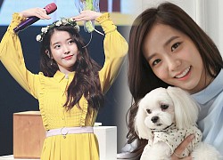 Jisoo (BLACKPINK), IU lọt top 5 thần tượng có nhân cách tốt nhất Kbiz