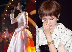 Hien Ho suddenly reappeared on stage with the hit &quot;The Old Lover&quot; after apologizing to &quot;relying brothers&quot;?