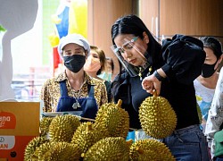 Thái Lan ra mắt sầu riêng 'không hôi'
