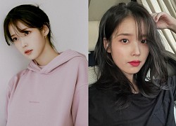 IU and little-known secrets: Being seen as a stranger by her younger brother