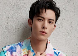 Vương Hạc Đệ hết mờ nhạt, thành ngôi sao
