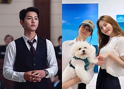 Song Joong Ki - Song Hye Kyo revealed in the midst of adultery: Happy people, sad people