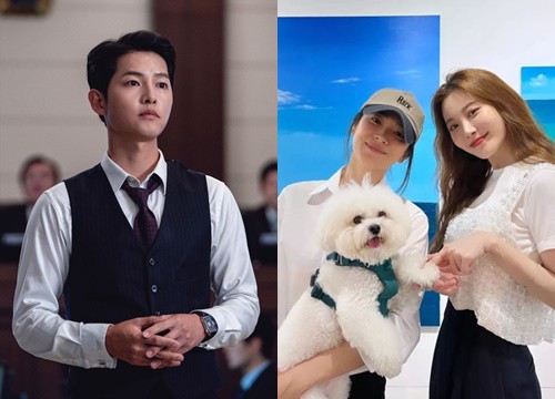 Song Joong Ki - Song Hye Kyo lộ diện giữa ồn ào ngoại tình: Người vui, người lộ nét đượm buồn