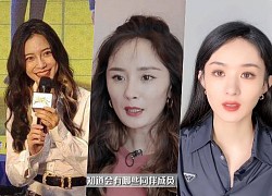 Duong Yen, Duong Mich, Trieu Le Dinh and Luu Thi Thi clearly showed signs of aging, causing a severe shock to the netize