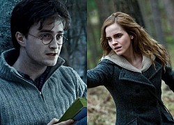 Cái kết thực sự của dàn nhân vật trong Harry Potter