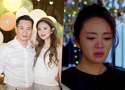 An Di Hien cried when her husband Tran Vinh Luyen was charged with 83 crimes and sentenced to 20 years in prison?