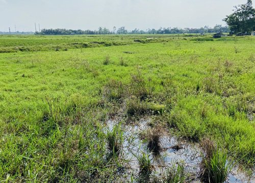 Rà soát các bất cập của hệ thống thông tin đất đai