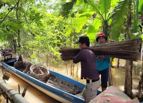 Đánh bắt đồng xa mùa nước nổi ở miền Tây