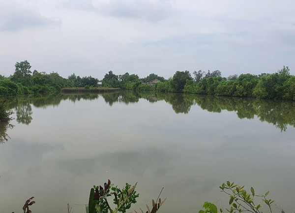 Tòa tuyên phải bán đất vì đã lớn tuổi mà còn ở xa đất