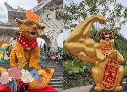 Uniquely &#39;Little Tiger&#39; celebrates spring 2023: Ben Tre has strong muscles, Suoi Tien has a deadline, so his eyes are dark