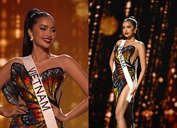 Ngoc Chau and the Butterfly Wings prom entered the &quot;history&quot; of Miss Universe, revealing the truth when out of the top 16