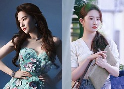 Liu Yifei affirmed her class that no one could repeat, receiving good news continuously as a single mother