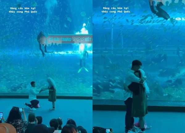 Màn cầu hôn có 1-0-2 tại Phú Quốc: Chàng trai "xuất hiện" giữa bể cá để gây bất ngờ cho người yêu