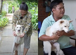 Abandoned puppy on the side of the road becomes the "savior" of a motorbike taxi couple after 2 years of nurturing