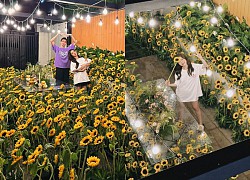 Tuan Duong spent 400 million to surprise Lucie Nguyen, bringing the whole flower garden home just to make his wife happy