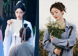 Tang Yan was criticized in the new project, was mercilessly 'kicked' by Yang Mi, Zhao Liying