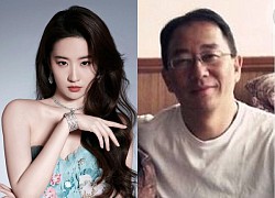 Liu Yifei appeared with his biological father secretly, netizens had to exclaim "extreme products create extreme products"