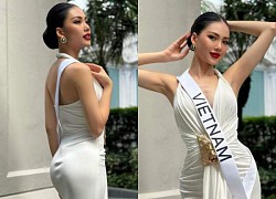 Bùi Quỳnh Hoa "lên dây cót", khẳng định vị thế tại Miss Universe, đủ khả năng đội vương miện