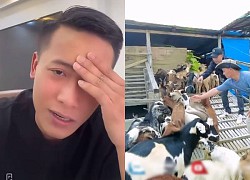 Quang Linh Vlogs bất lực nhìn "thành viên mới" gặp biến cố, thừa nhận sai sót ở bản thân