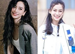 Angelababy bị gạch tên khỏi Running Brothers, nhân viên tìm bến đỗ mới hậu "cấm sóng"