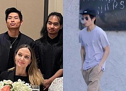 Pax Thien has an "unpleasant" expression, criticized by fans for not being as gentle as his brother Maddox, is Angelina Jolie embarrassed?