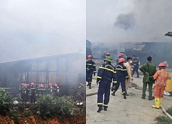 The largest mushroom production and purchasing factory in Lam Dong burned down, causing much property damage