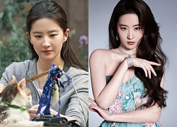 Liu Yifei is living with a special character, everyone is surprised to know his identity?