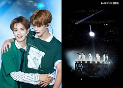 Wanna One tái hợp trong show sống còn sau 4 năm tan rã, fan hâm mộ "dở khóc dở cười"